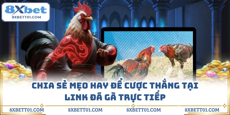 Chia sẻ mẹo hay để cược thắng tại link đá gà trực tiếp