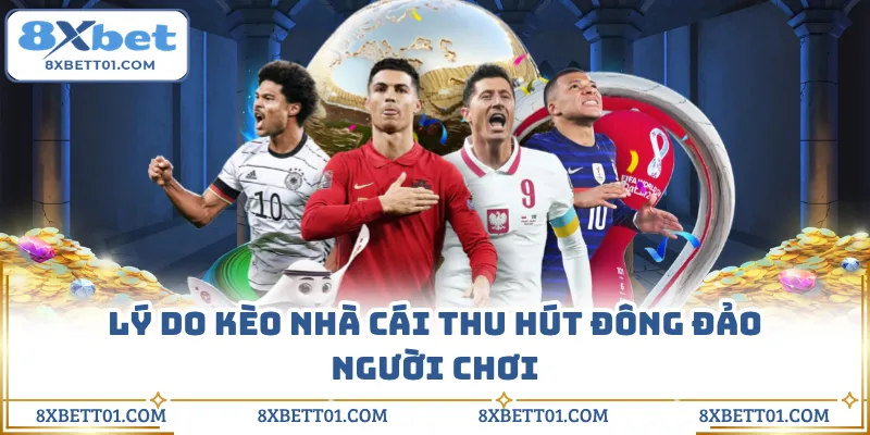 Lý do kèo nhà cái thu hút đông đảo người chơi
